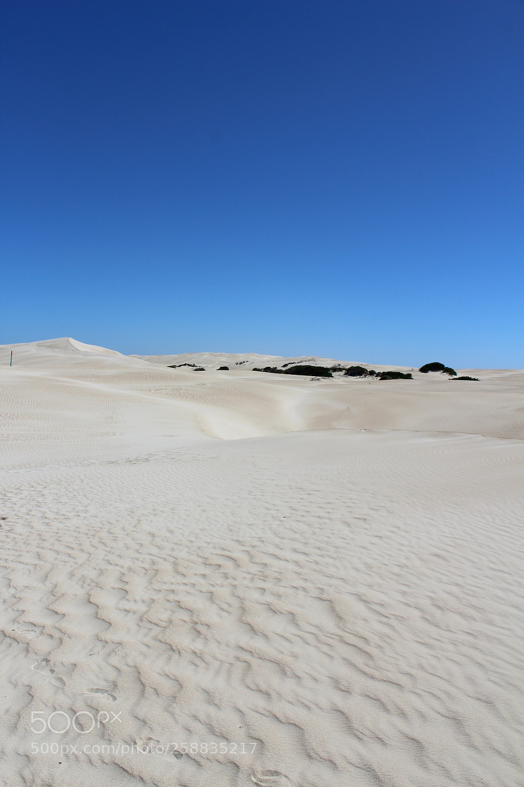 Canon EOS 600D (Rebel EOS T3i / EOS Kiss X5) sample photo. Sandy days photography