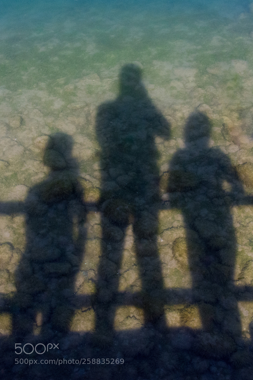 Nikon D7200 sample photo. Shadow of us photography