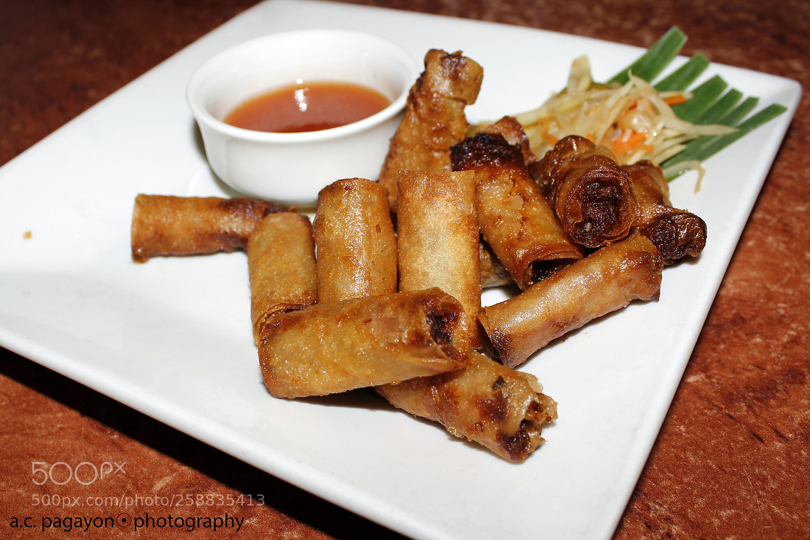 Canon EOS 600D (Rebel EOS T3i / EOS Kiss X5) sample photo. Fried spring roll photography