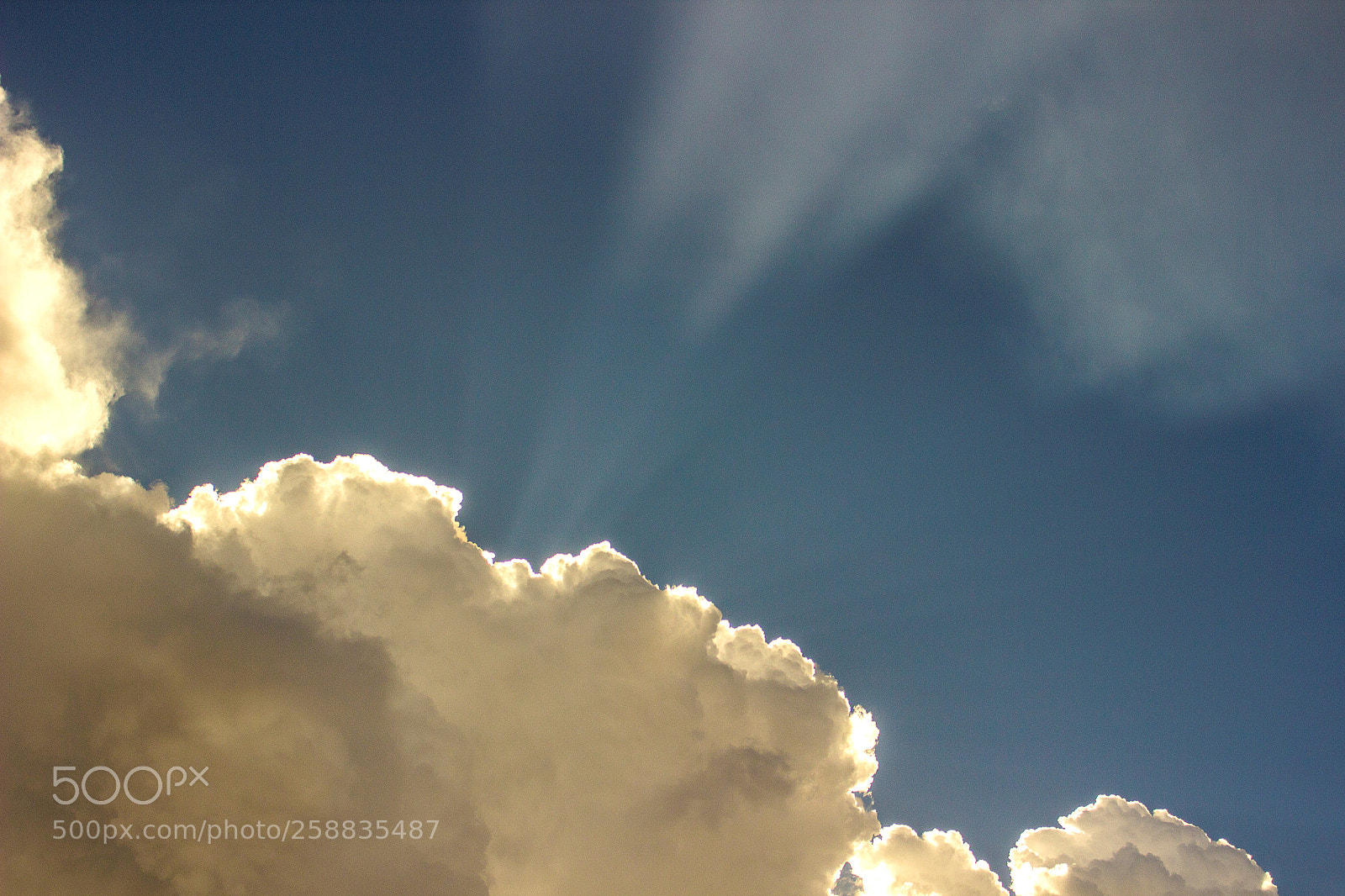 Canon EOS 600D (Rebel EOS T3i / EOS Kiss X5) sample photo. Sun rays photography