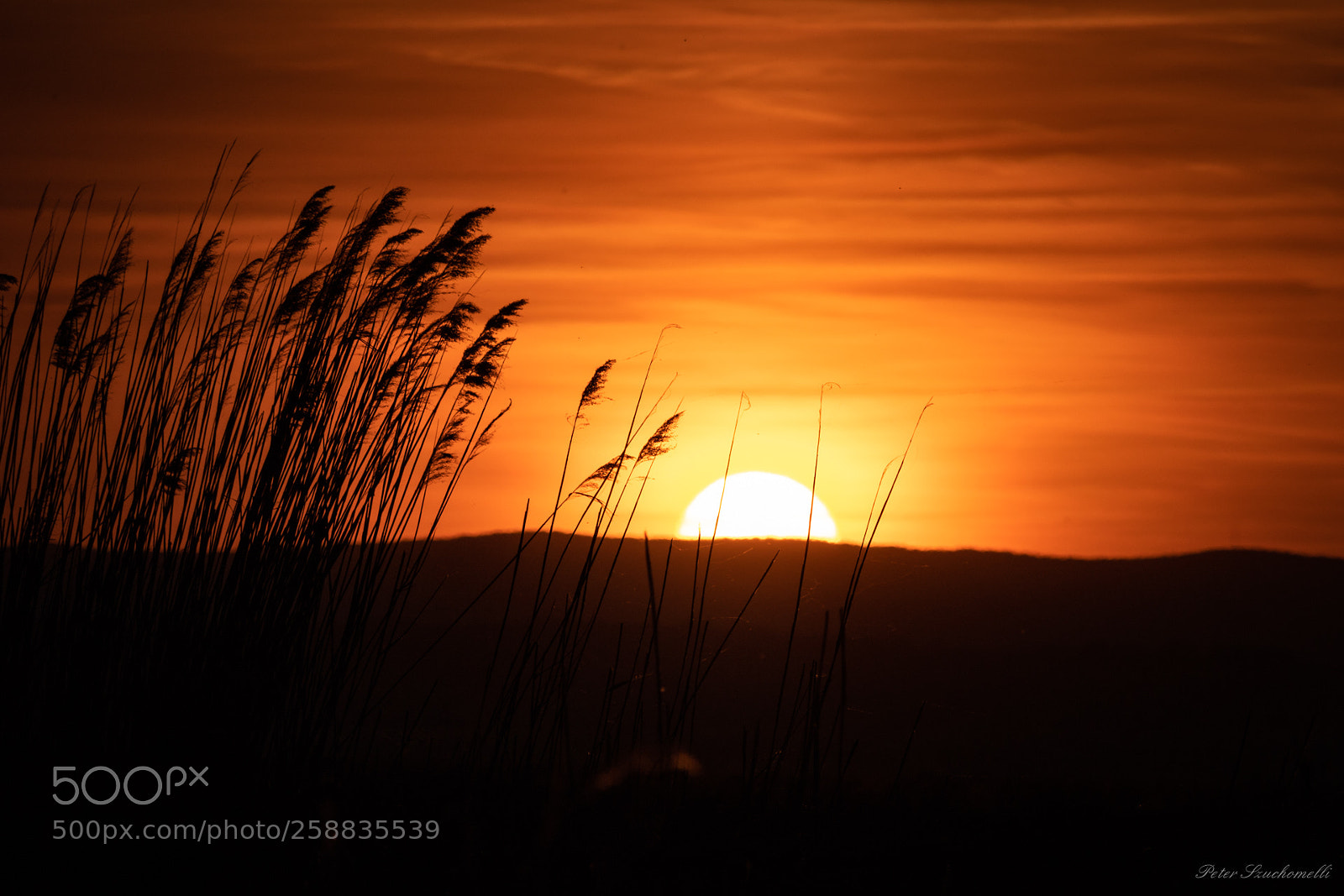 Canon EOS 750D (EOS Rebel T6i / EOS Kiss X8i) sample photo. Abendrot im schilf photography