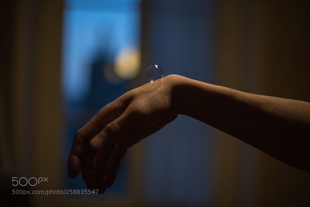 Nikon D750 sample photo. Fleeting photography