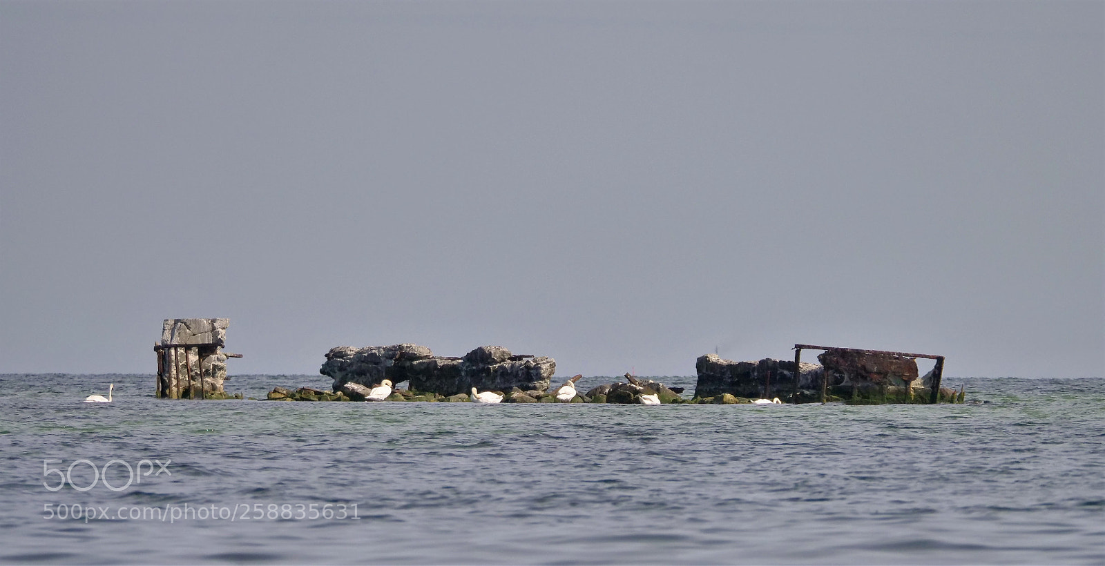 Panasonic Lumix DC-GH5 sample photo. Exploring iv - wreck photography