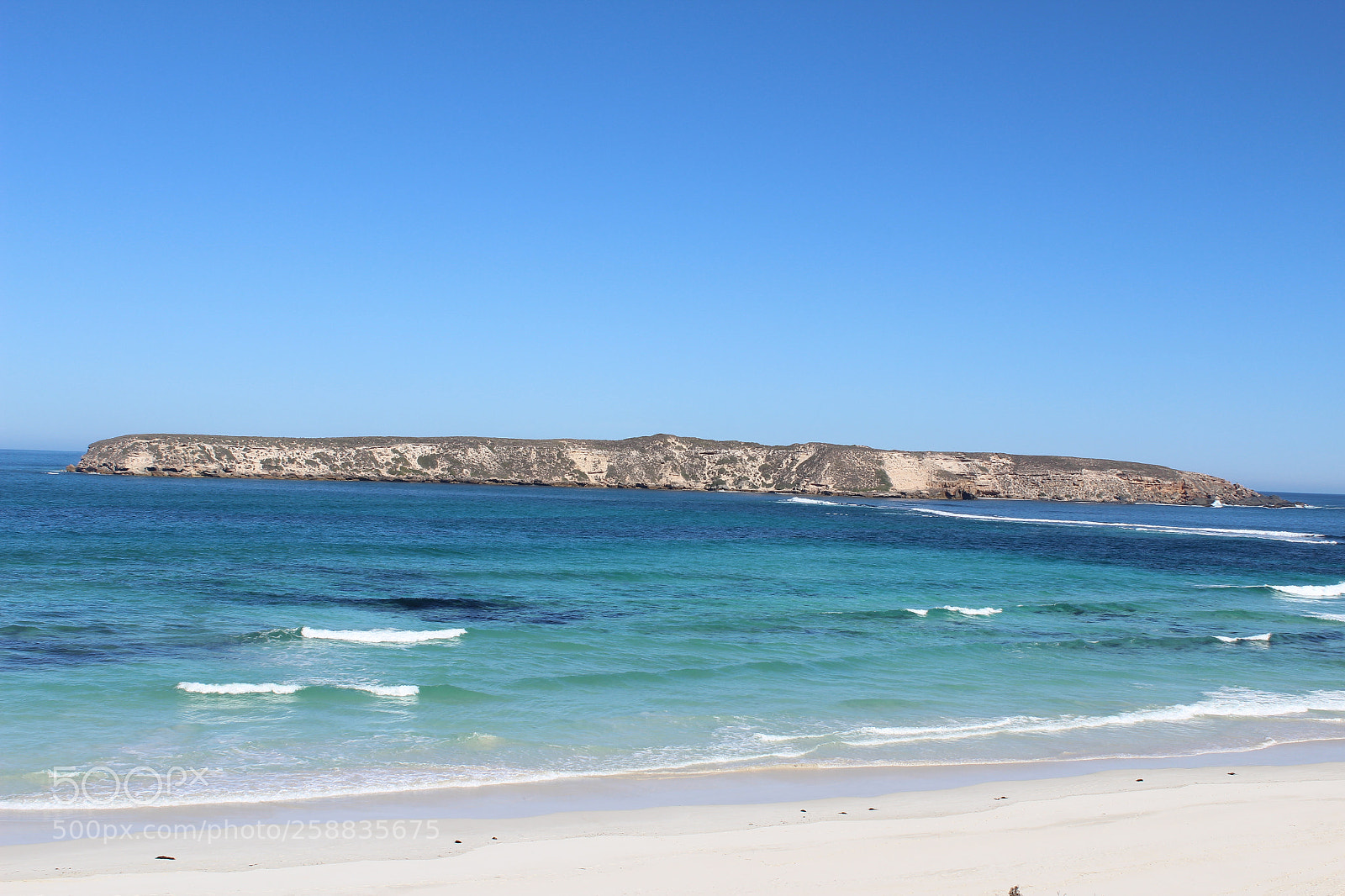 Canon EOS 600D (Rebel EOS T3i / EOS Kiss X5) sample photo. Summer blues photography