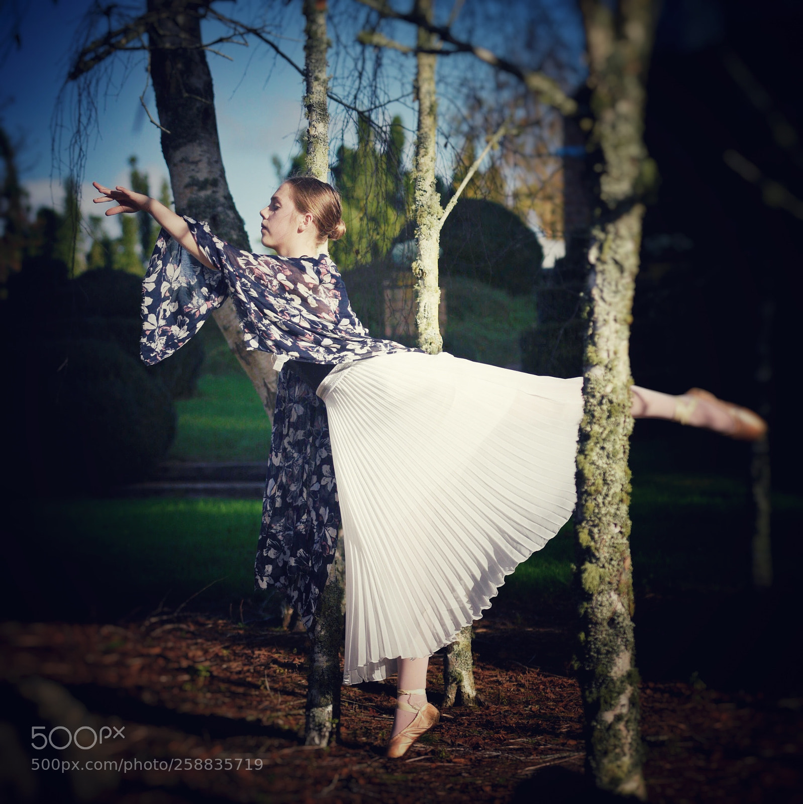 Nikon D810 sample photo. Charlotte l photography