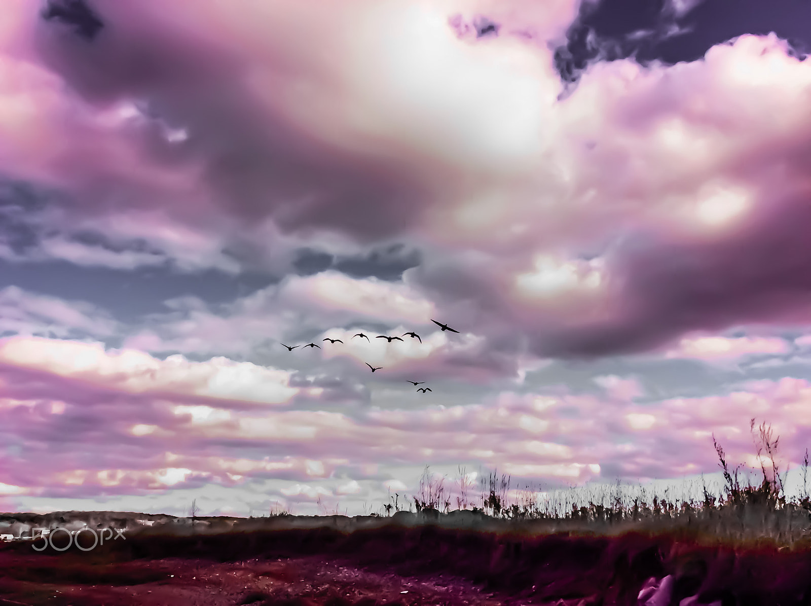 Apple iPad mini 2 sample photo. Purple clouds photography