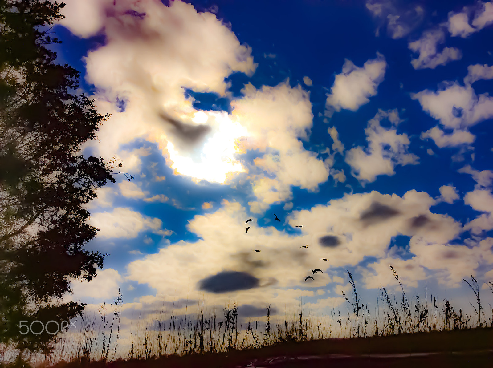 Apple iPad mini 2 sample photo. Beautiful sky scape photography