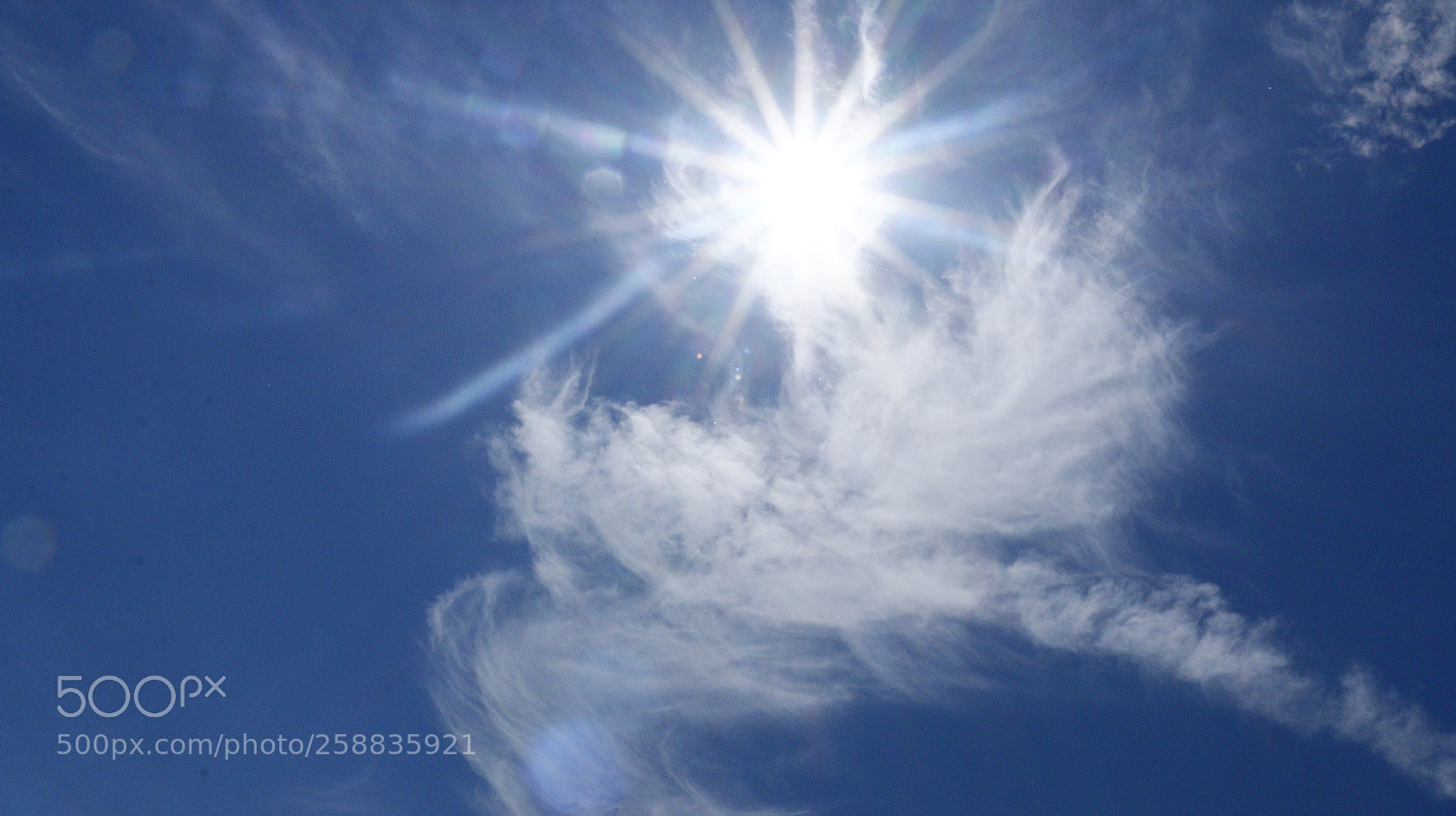 Canon EOS 70D sample photo. Phoniex photography