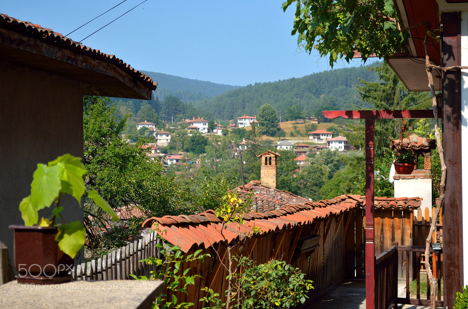 Nikon D5100 sample photo. Morning view photography