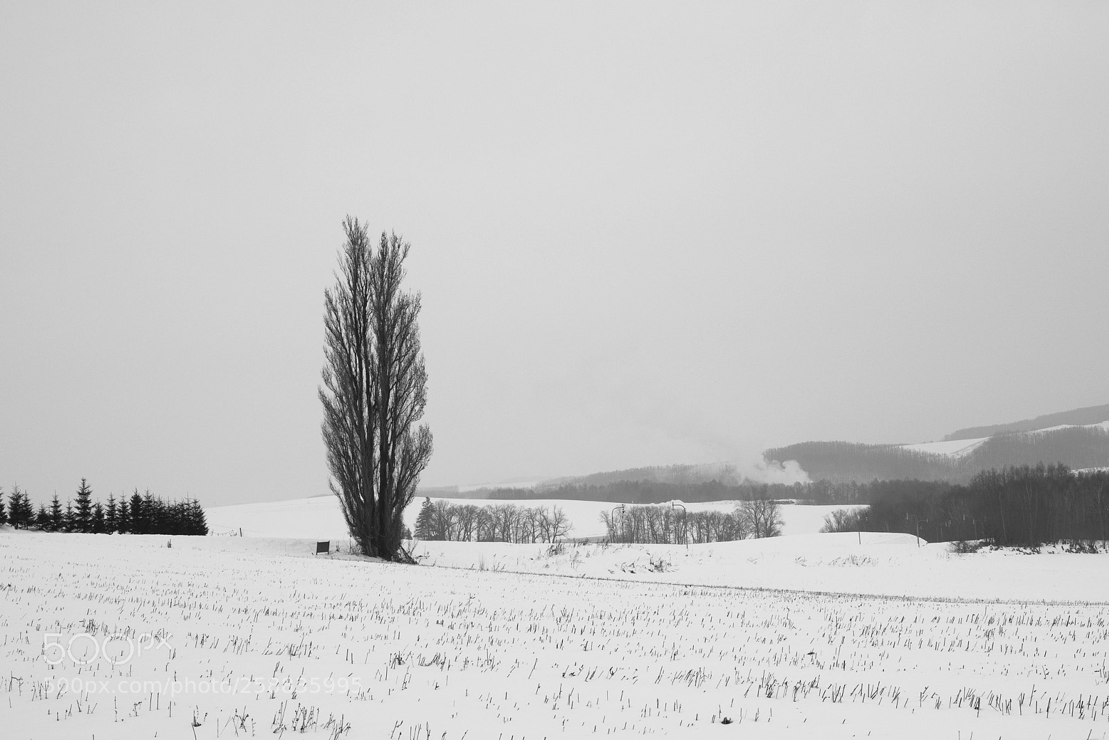 Nikon D810 sample photo. Biei, hokkaido photography