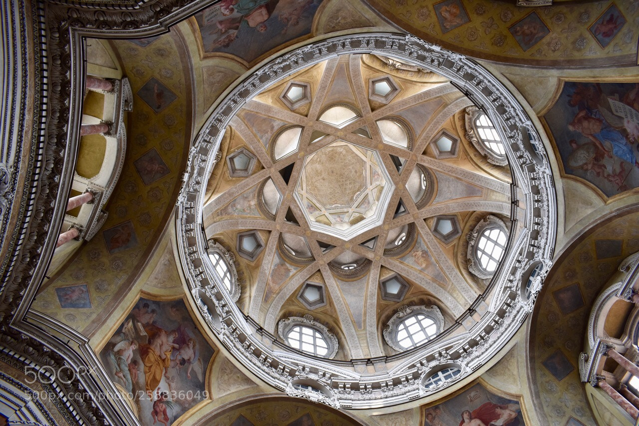 Nikon D5600 sample photo. Torino san lorenzo photography