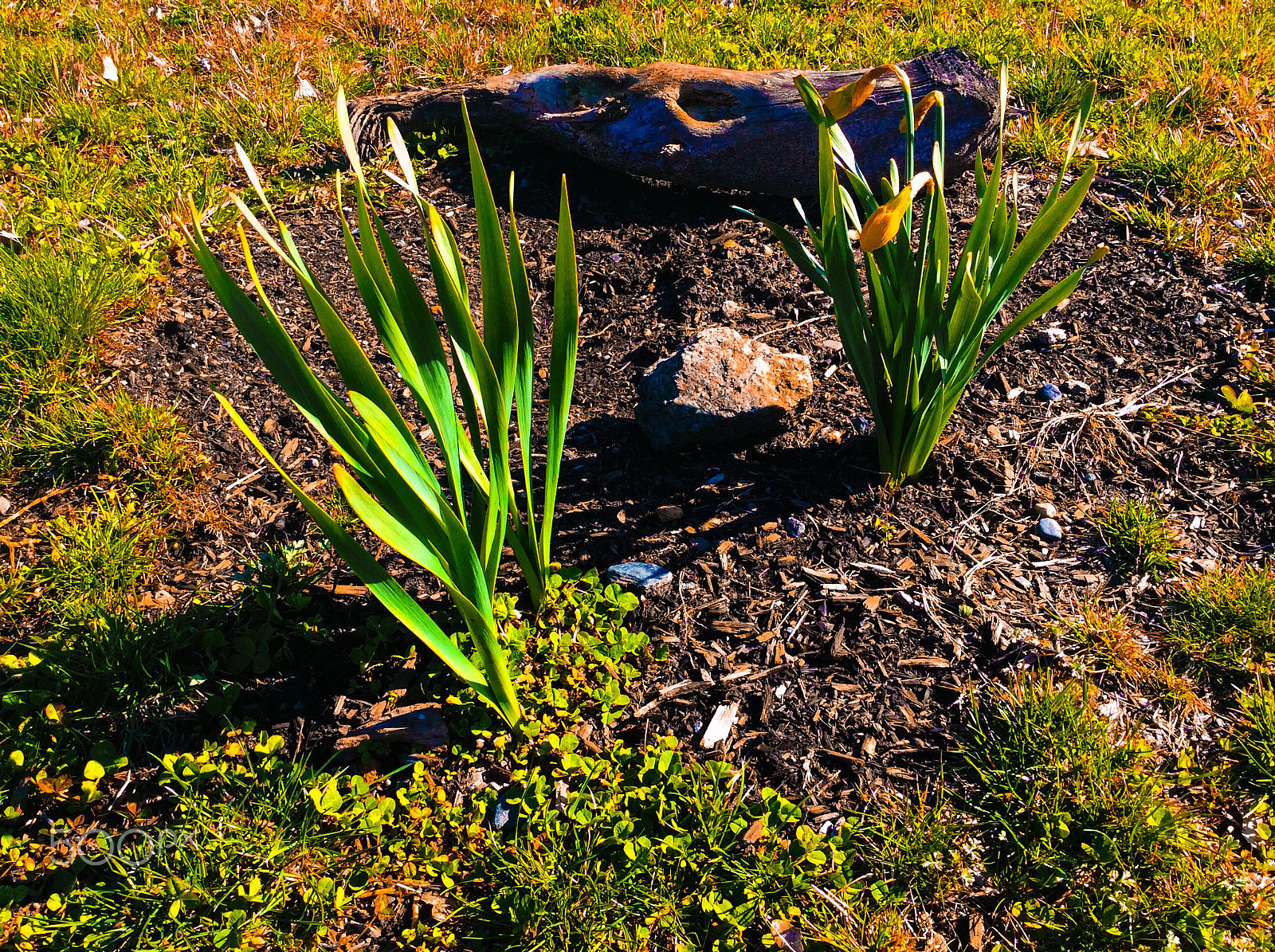 Apple iPad mini 2 sample photo. A peaceful spot photography