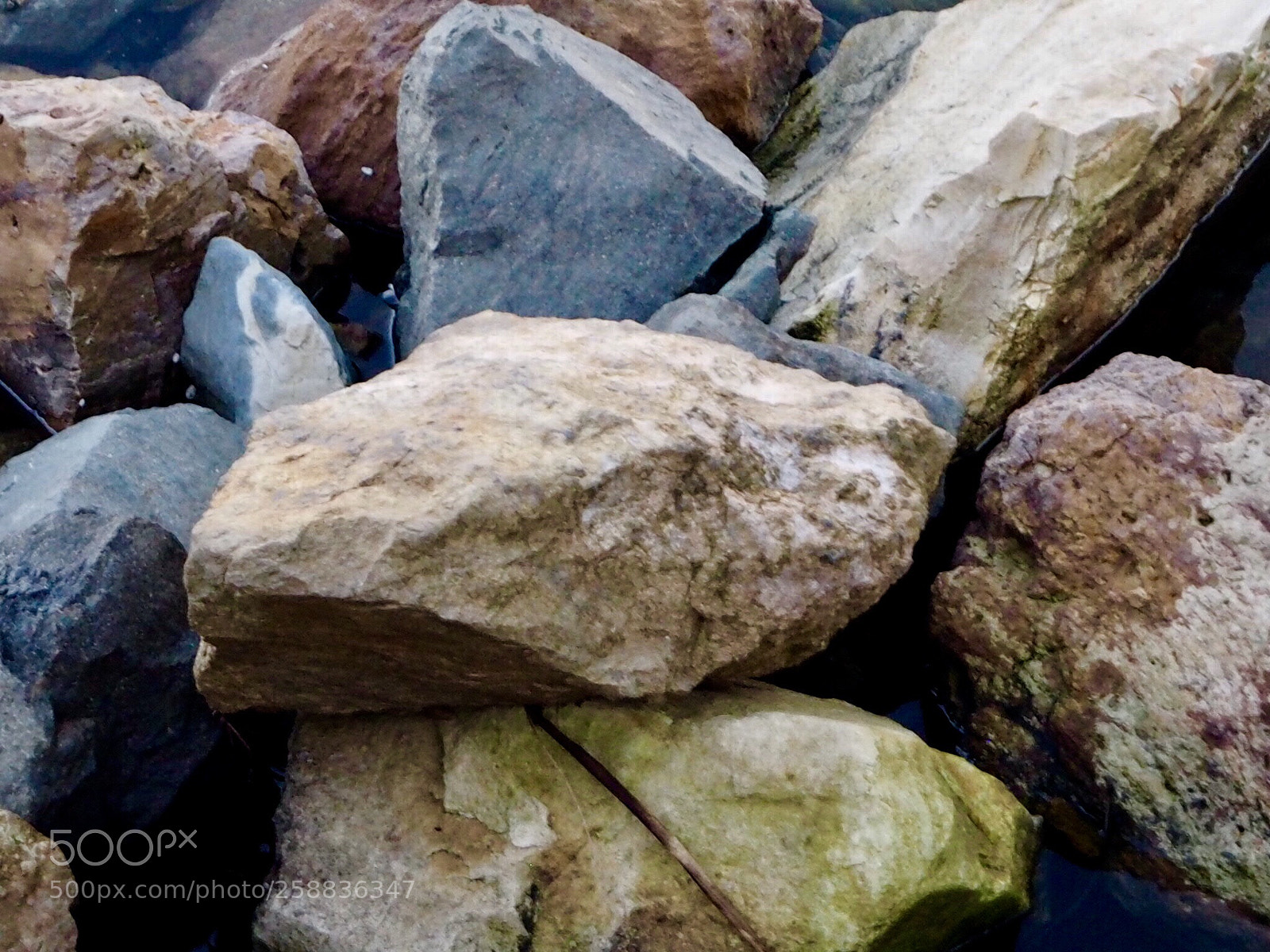 Olympus OM-D E-M10 sample photo. Sunshine beach - australia  photography