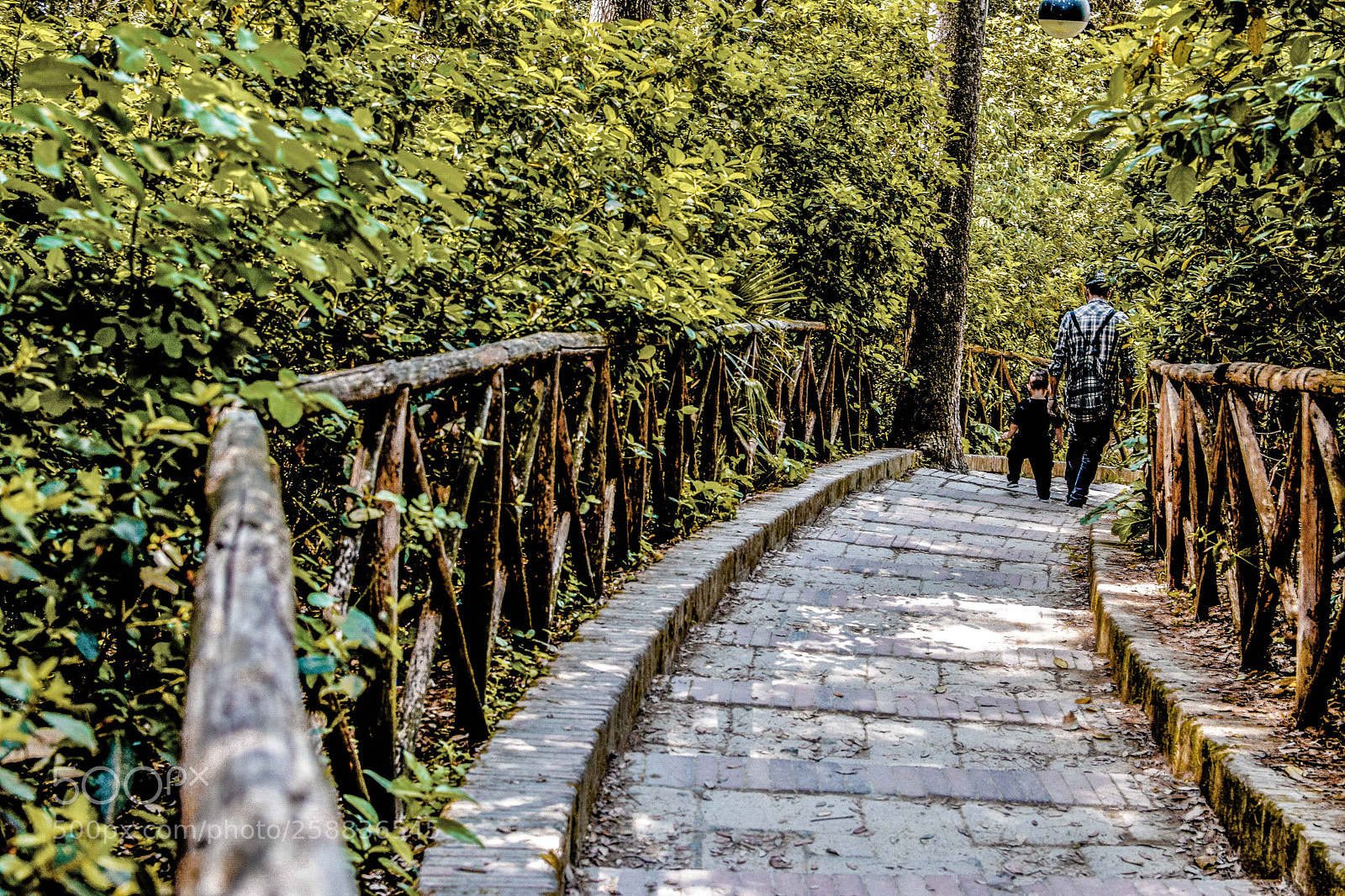 Nikon D3300 sample photo. Parco della floridiana napoli photography