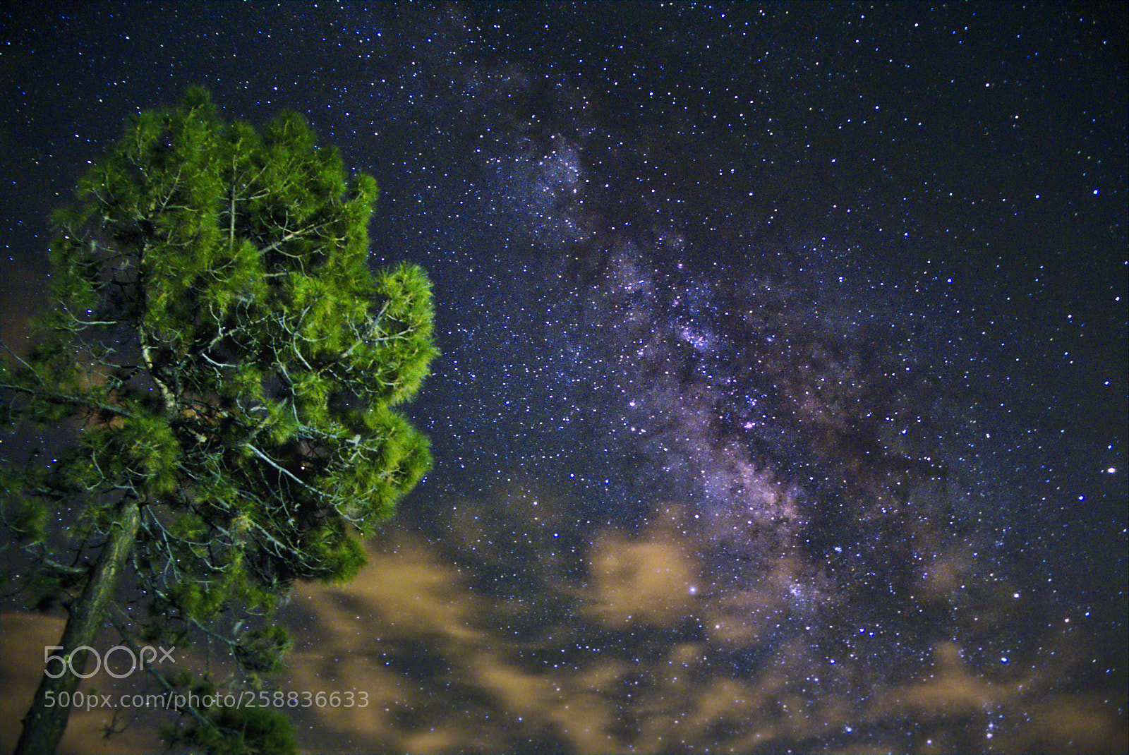 Fujifilm X-T20 sample photo. Night sky photography