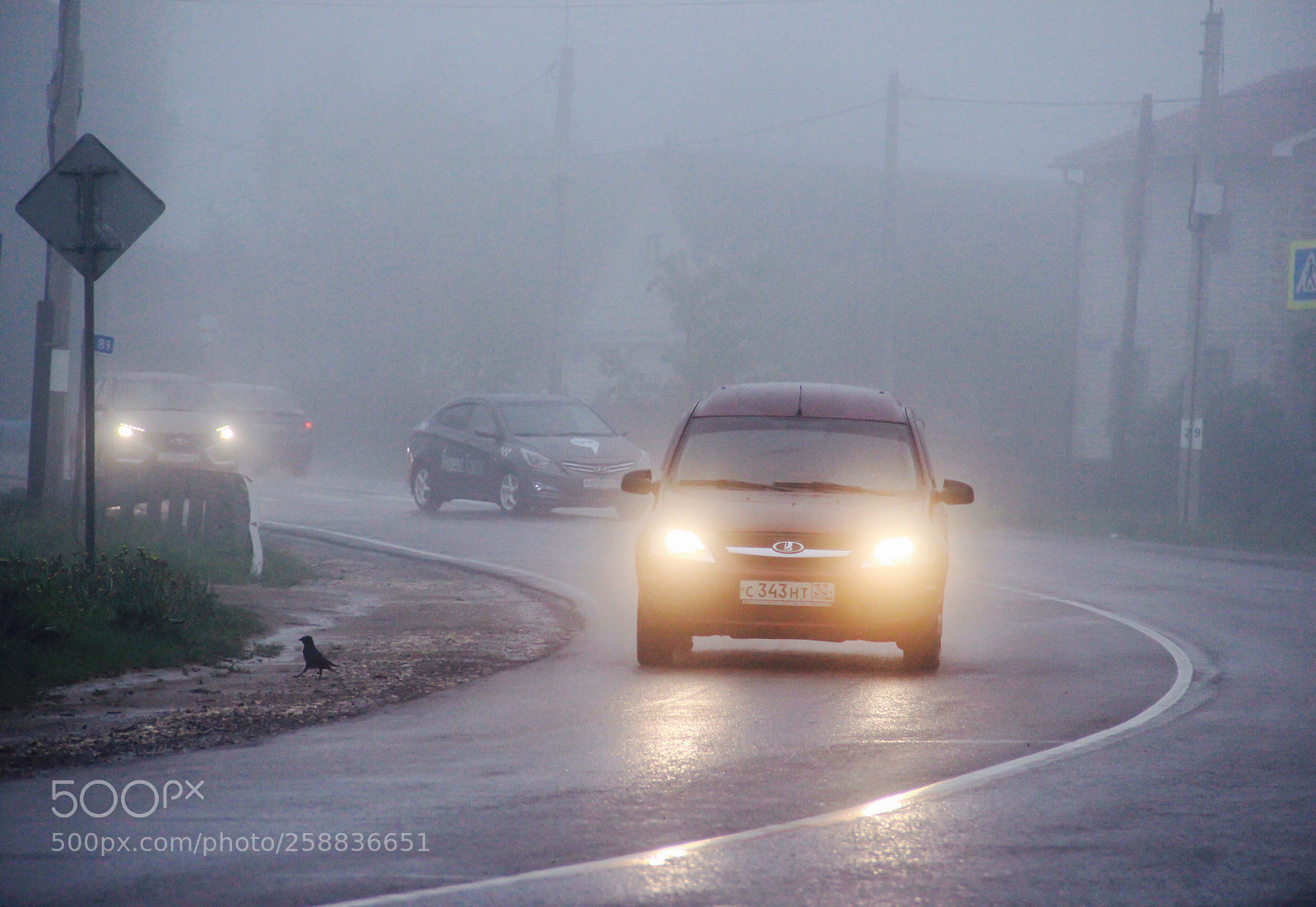 Canon EOS 600D (Rebel EOS T3i / EOS Kiss X5) sample photo. Fog in the village  photography