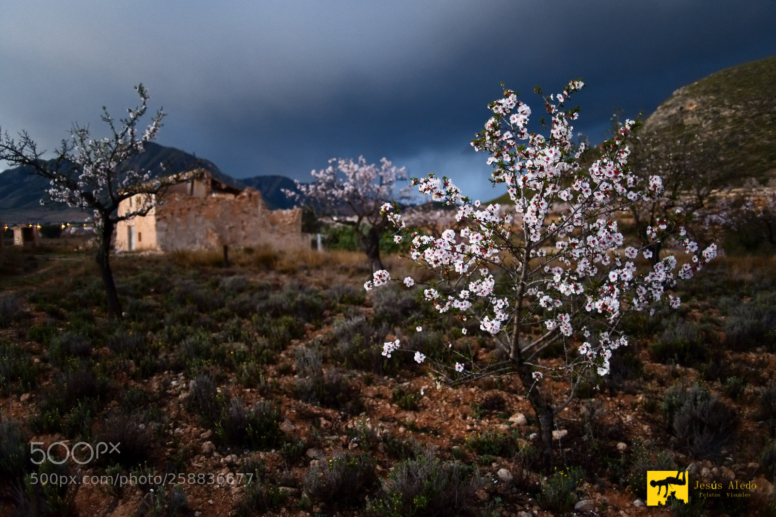 Nikon D700 sample photo. "after the storm" photography
