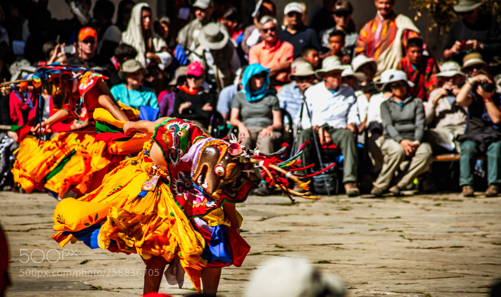 Canon EOS 5D Mark IV sample photo. Black neck crane festival photography