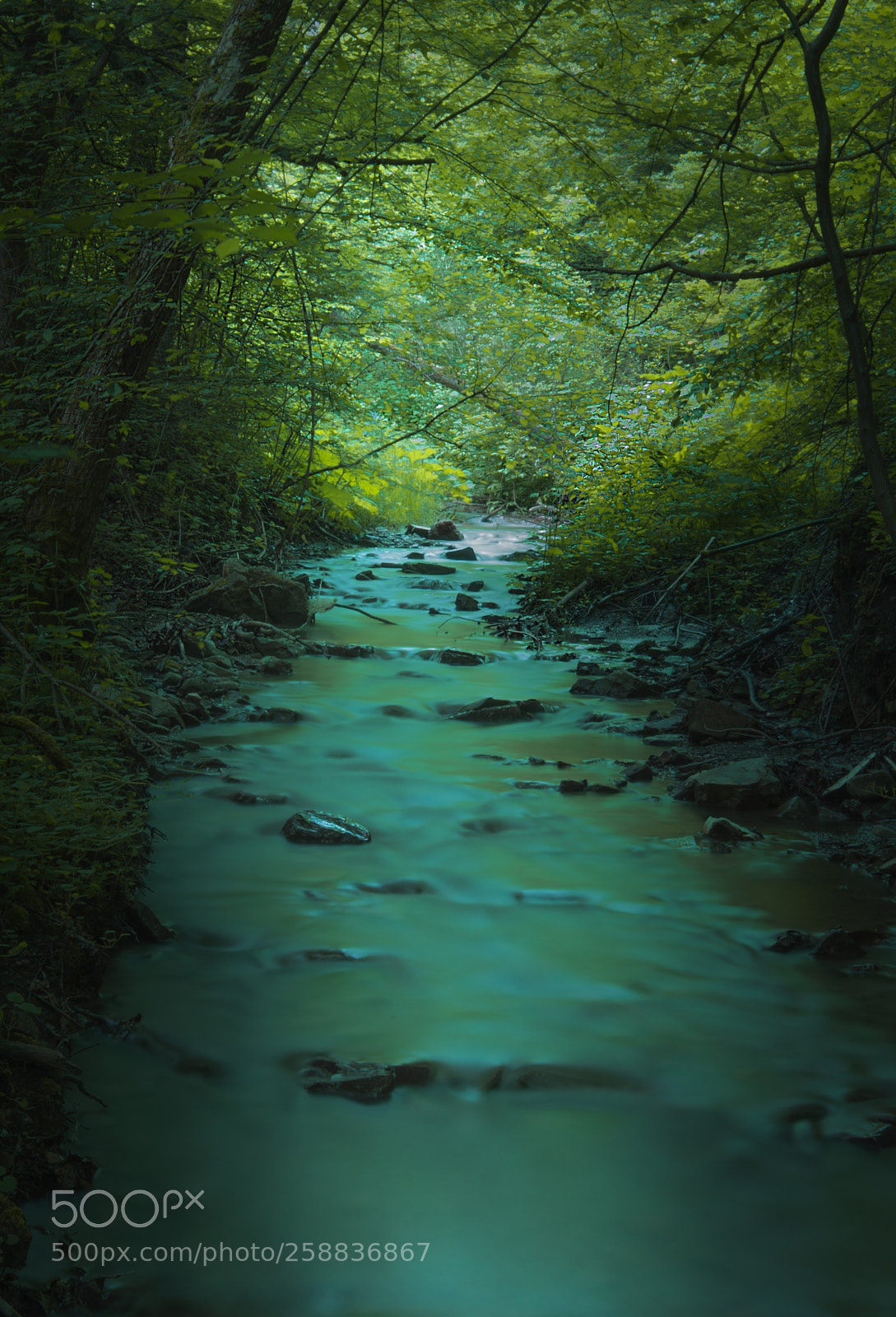 Nikon D610 sample photo. Stream photography