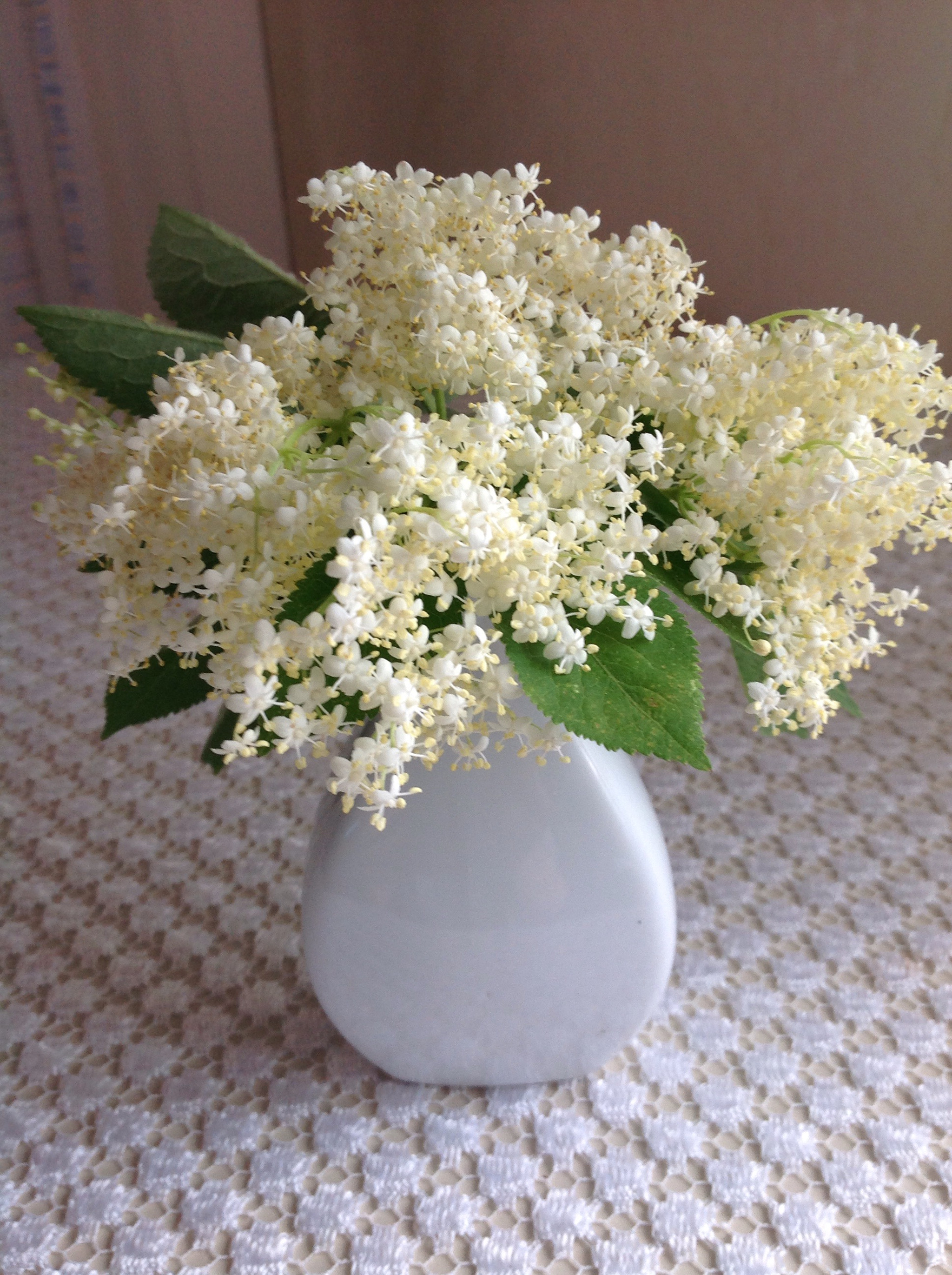 Apple iPad sample photo