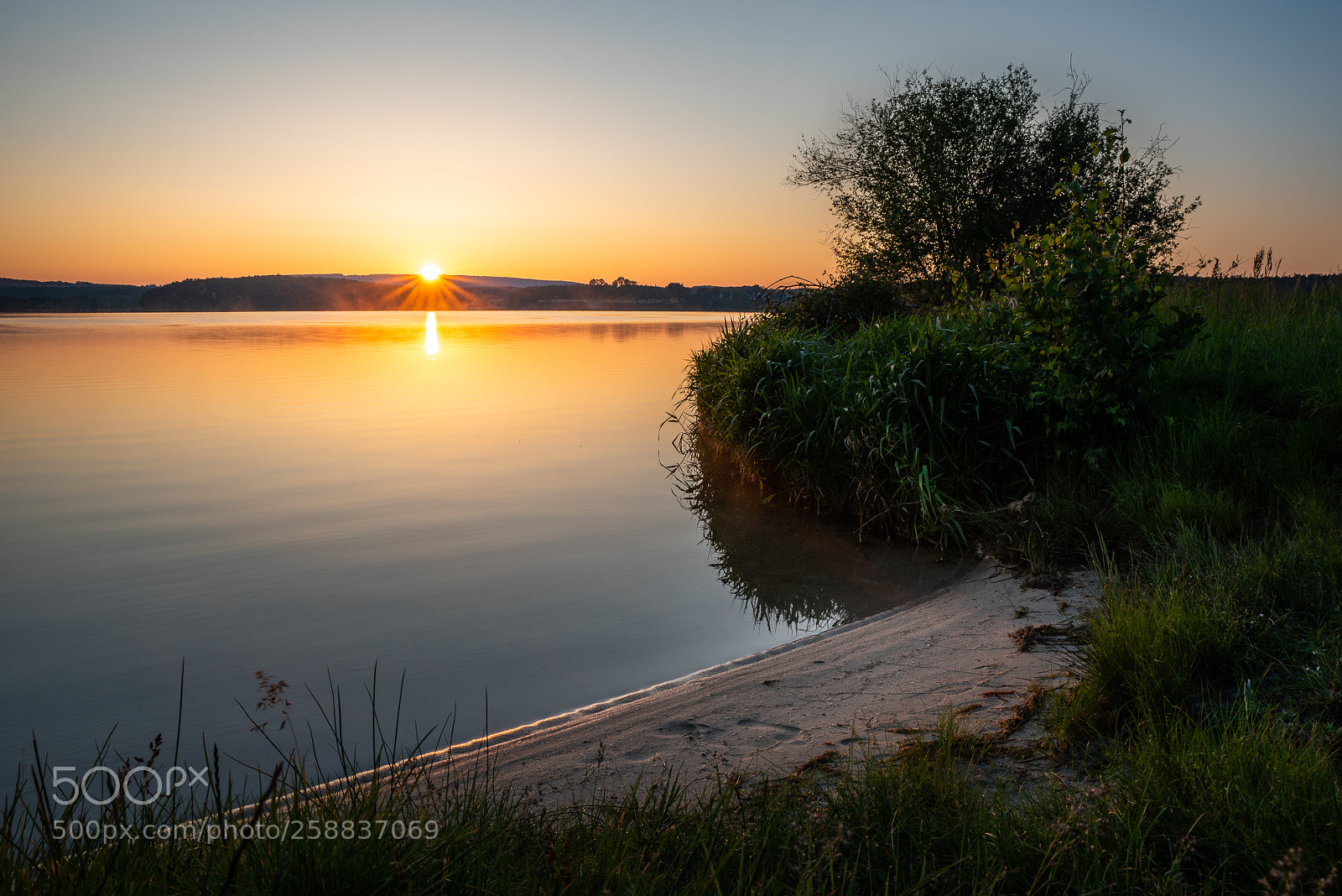 Nikon D750 sample photo. Steinberger see photography