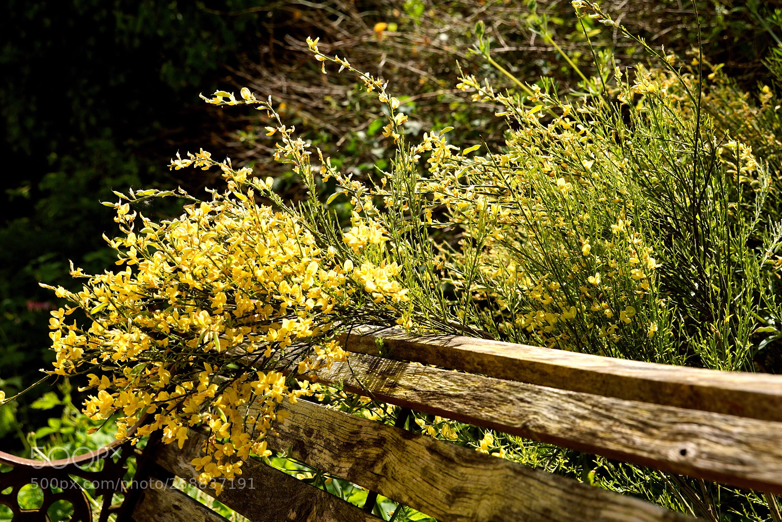 Sony a6000 sample photo. Memories, places photography