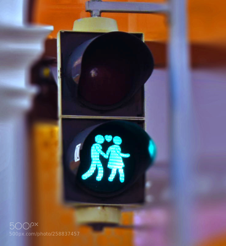 Nikon D3300 sample photo. Traffic light in vienna photography