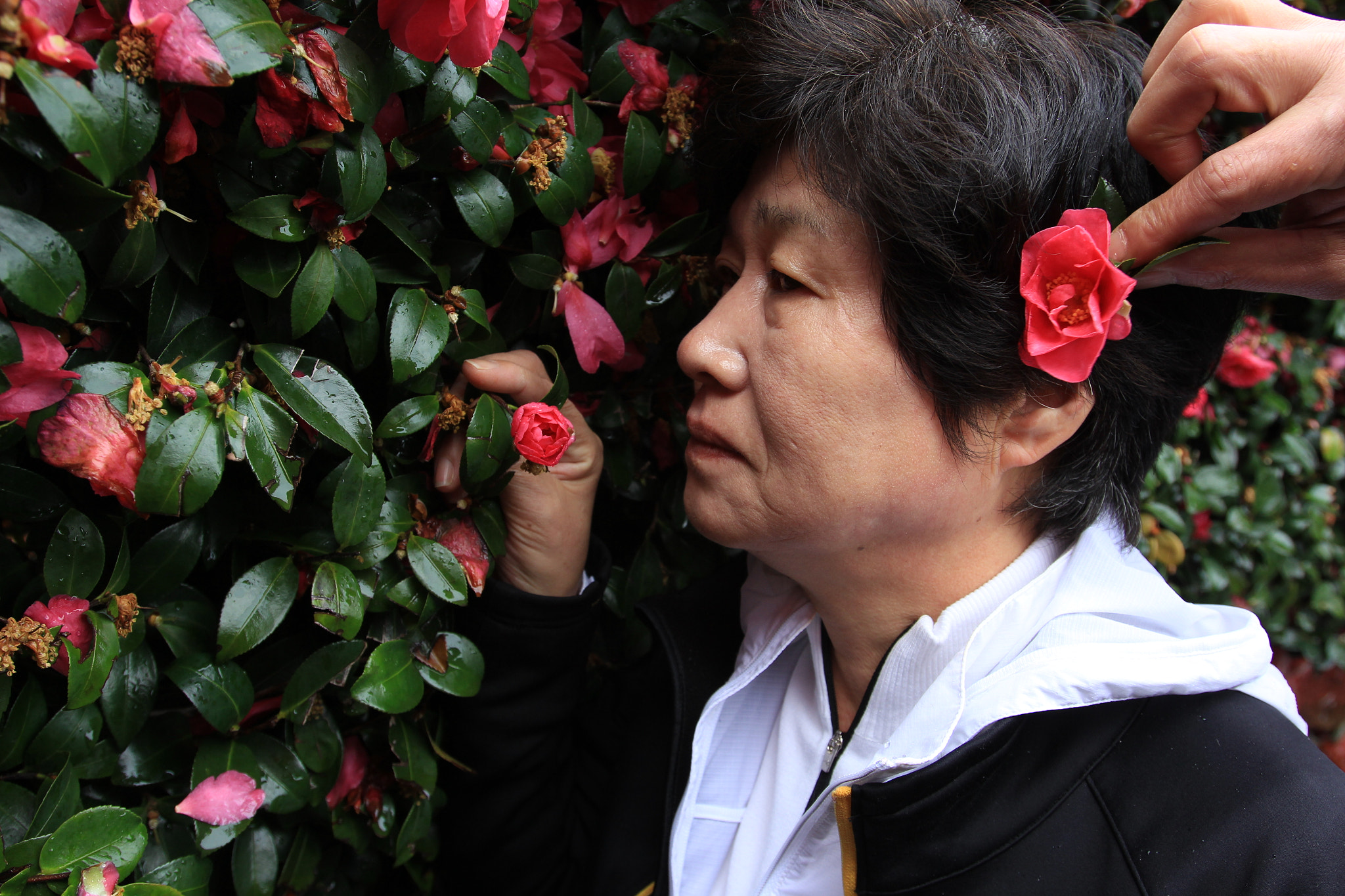Canon EOS 60D + Canon EF 16-35mm F2.8L USM sample photo. 머리핀 photography