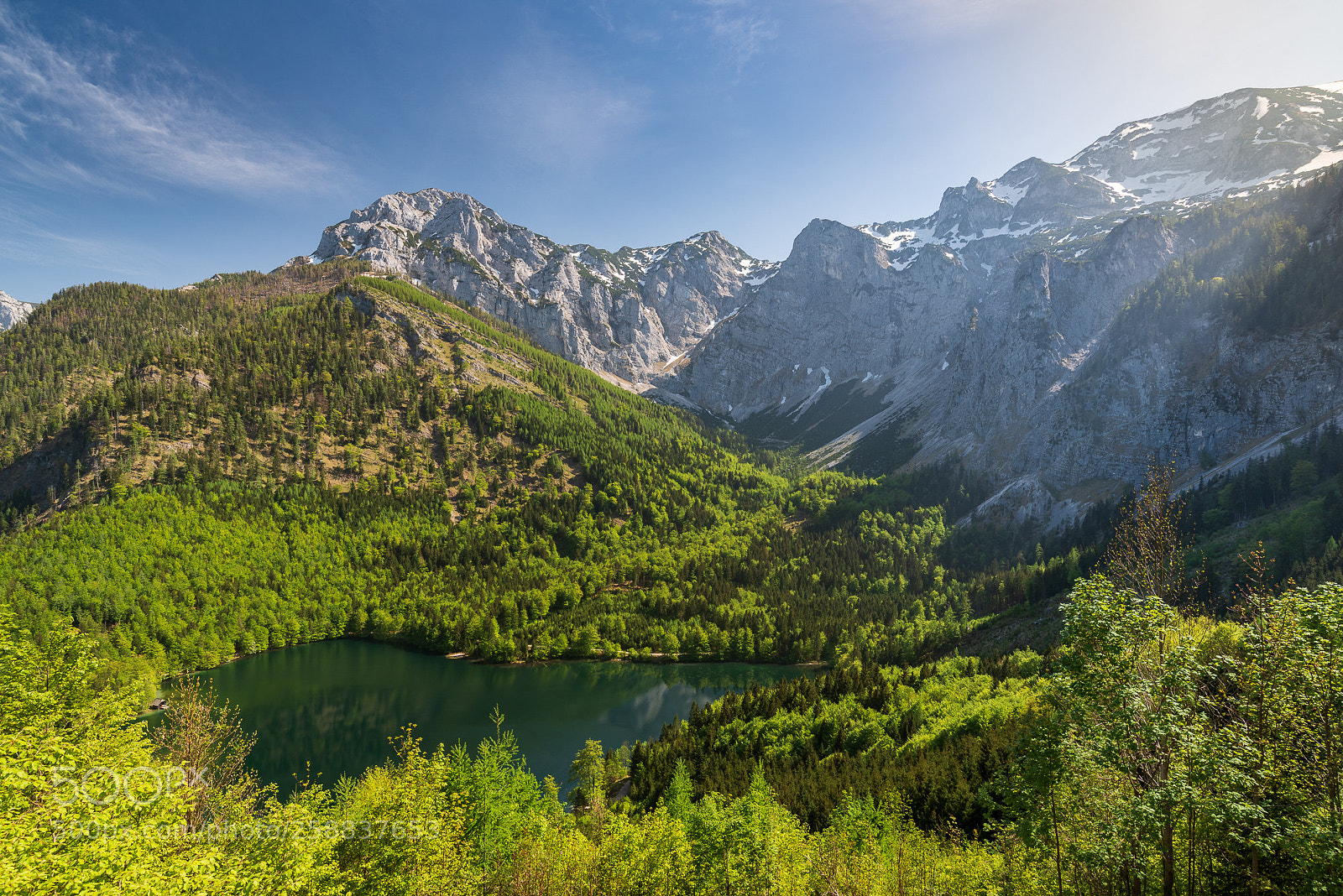 Nikon D750 sample photo. The amazing green photography