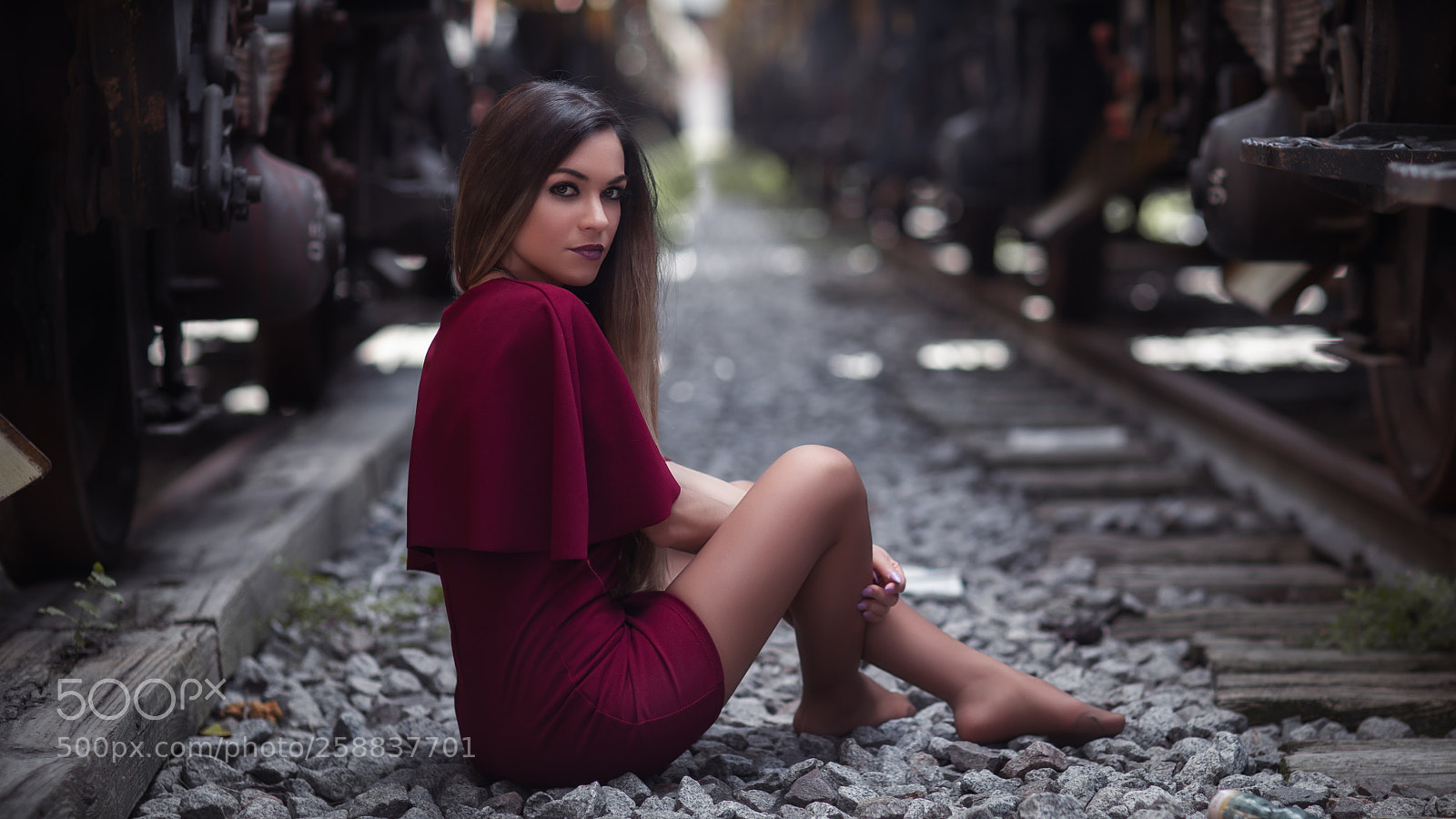 Canon EOS 5D Mark IV sample photo. Vanda photography
