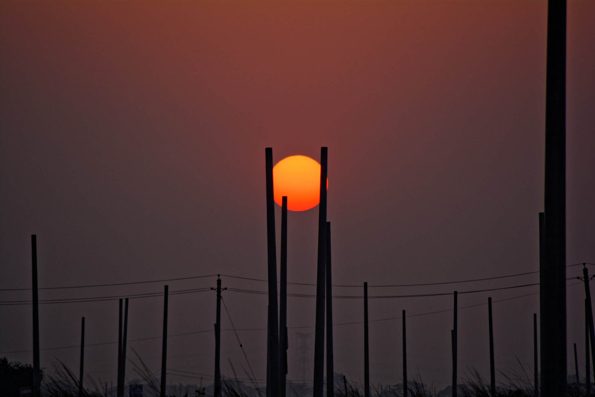 Nikon AF Nikkor 70-300mm F4-5.6G sample photo. Something beautiful photography