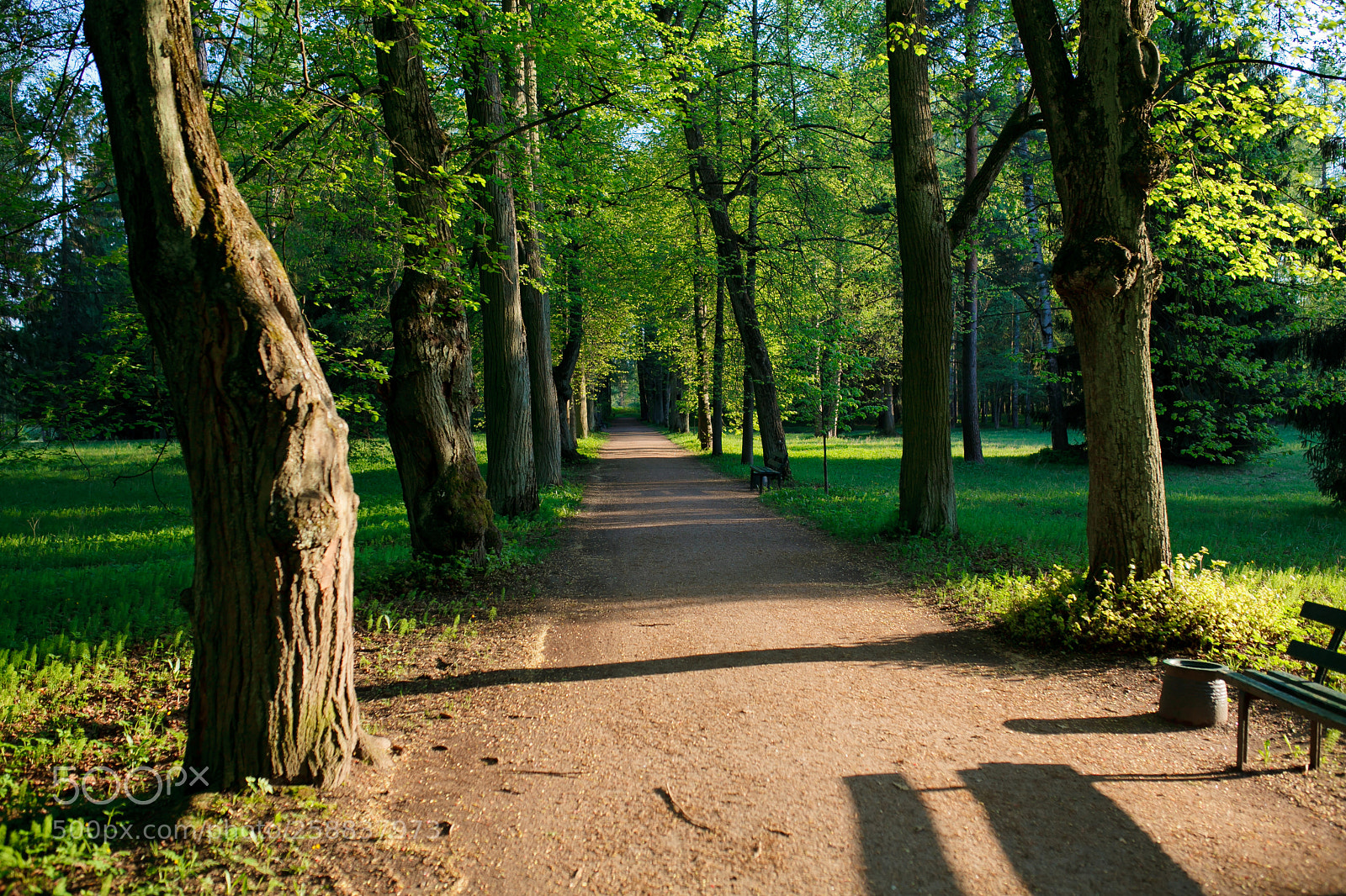 Canon EOS 5D Mark II sample photo. Road photography
