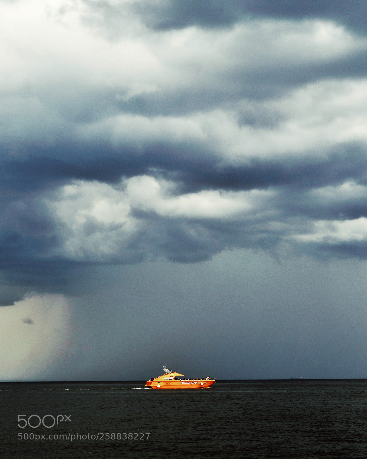 Nikon D800 sample photo. Orange photography