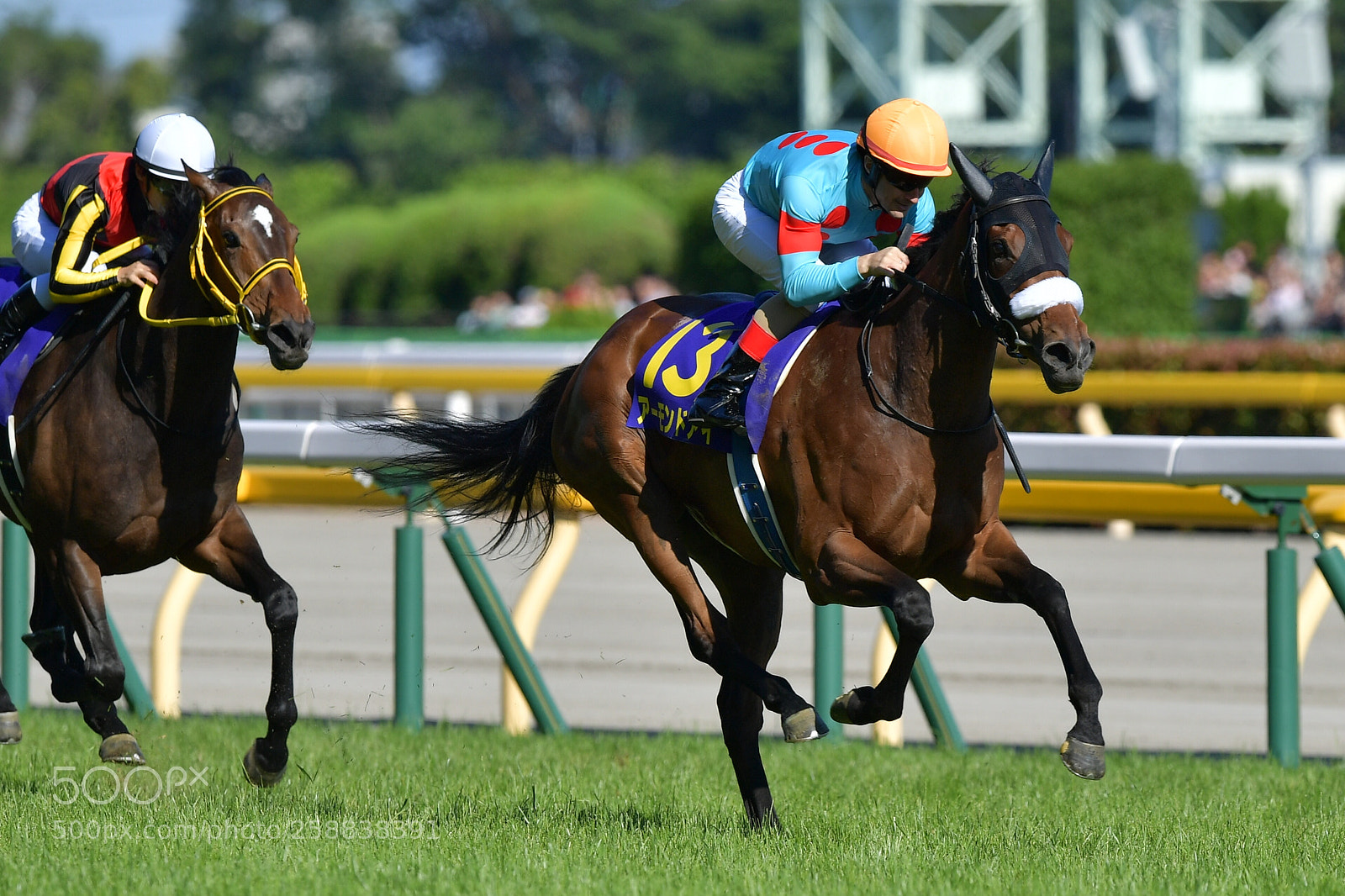 Nikon D5 sample photo. Almond eye
2018 japanese oaks photography