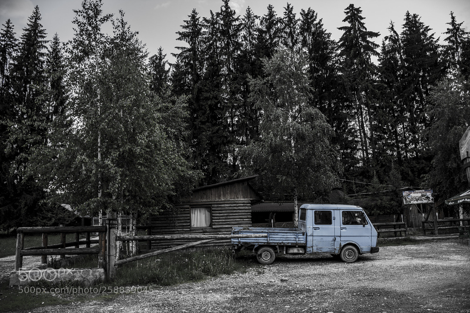 Nikon D7200 sample photo. Forest old european truck photography