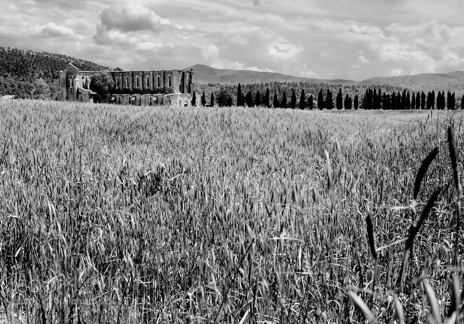 Fujifilm X-T1 sample photo. San galgano photography