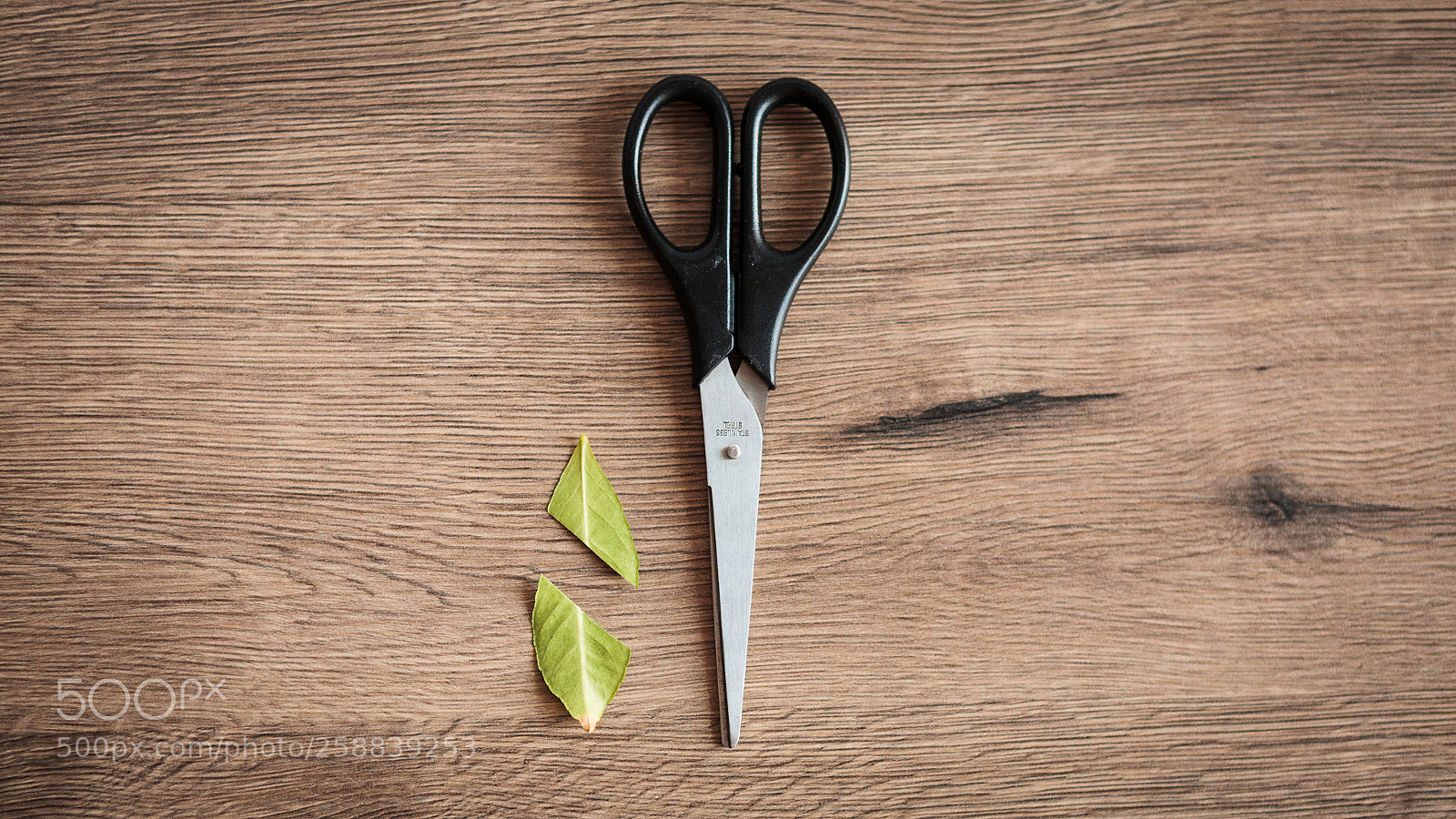 Canon EOS 5D sample photo. Scissors photography