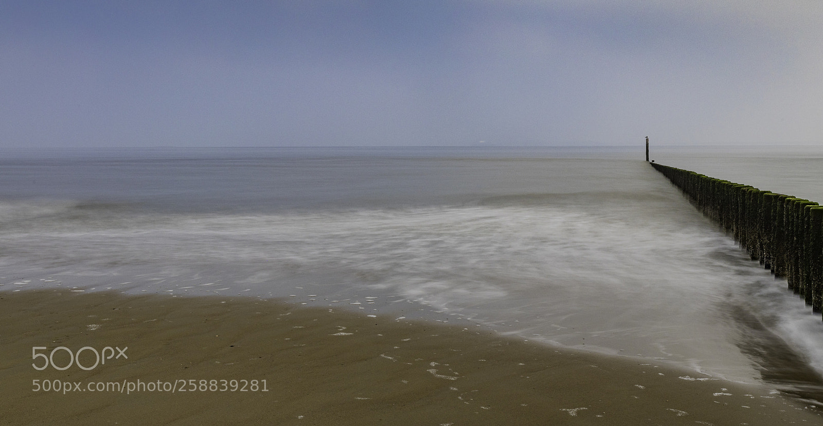 Canon EOS 5D Mark IV sample photo. North sea photography
