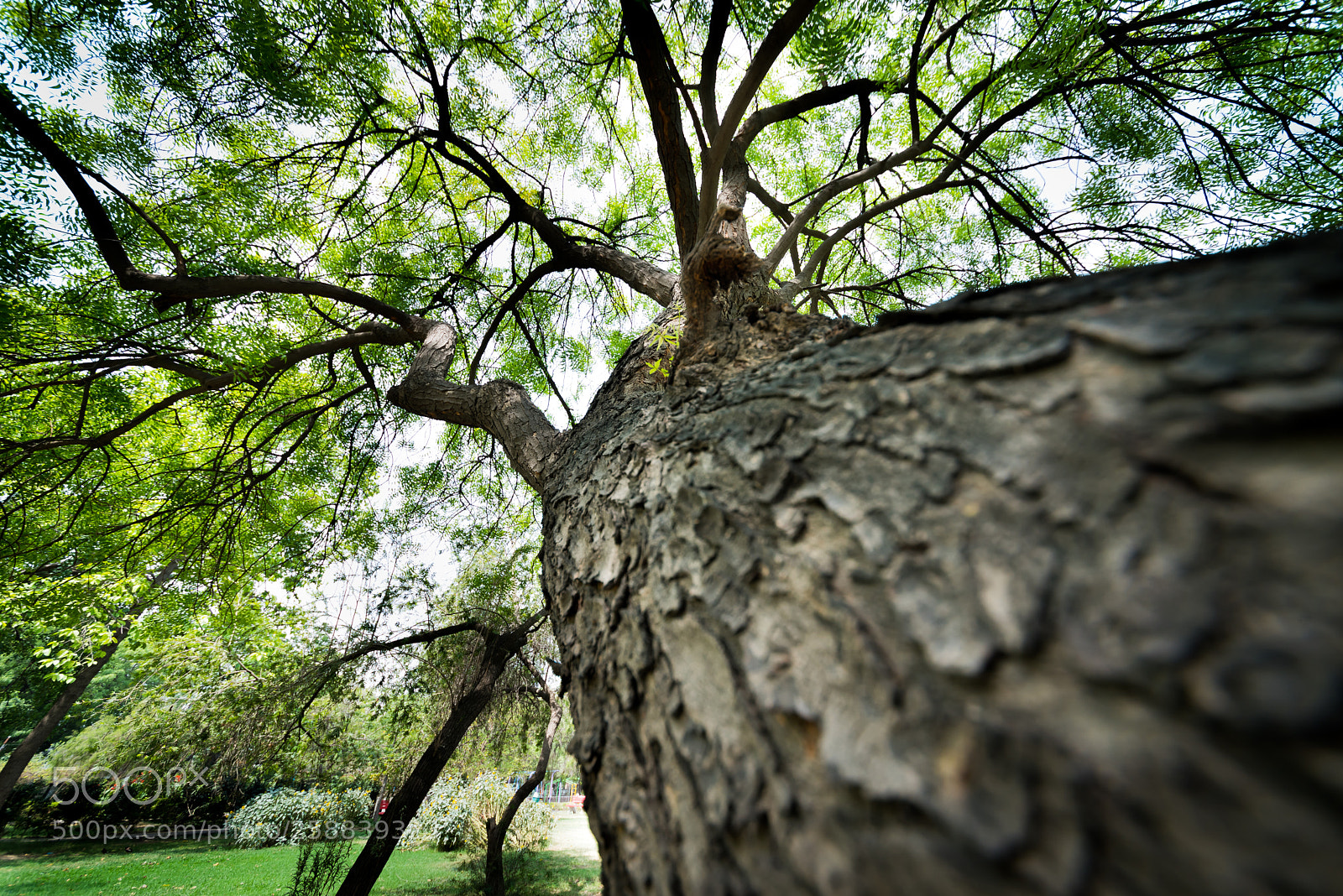 Nikon D750 sample photo. Breather photography