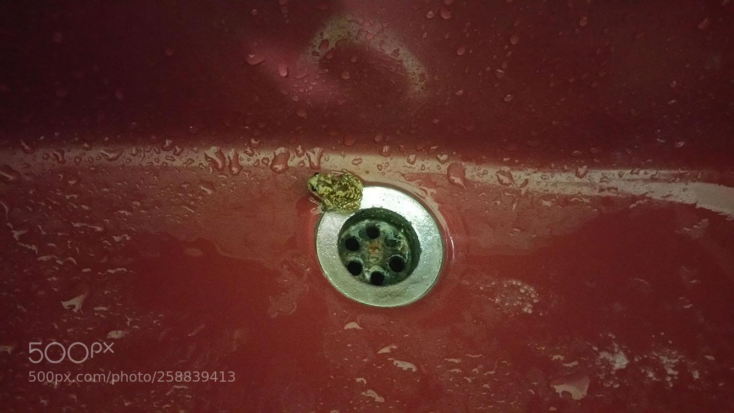 Samsung Galaxy Note4 sample photo. 20160822_212537.jpg photography