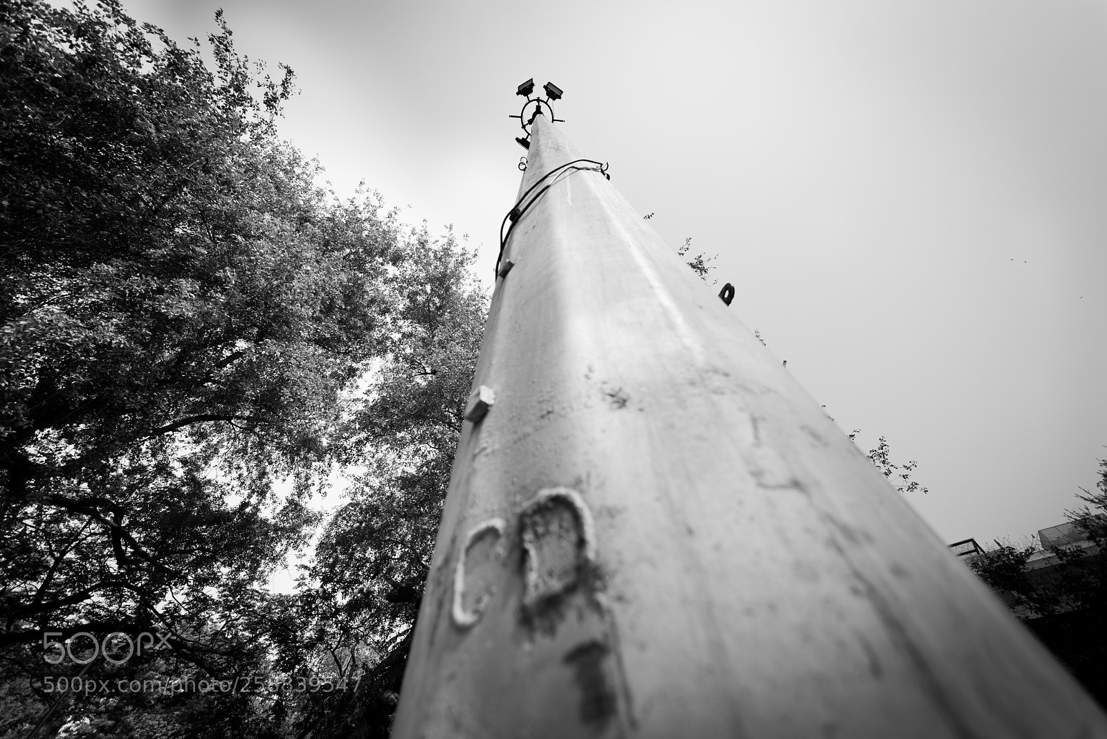 Nikon D750 sample photo. Light tower photography