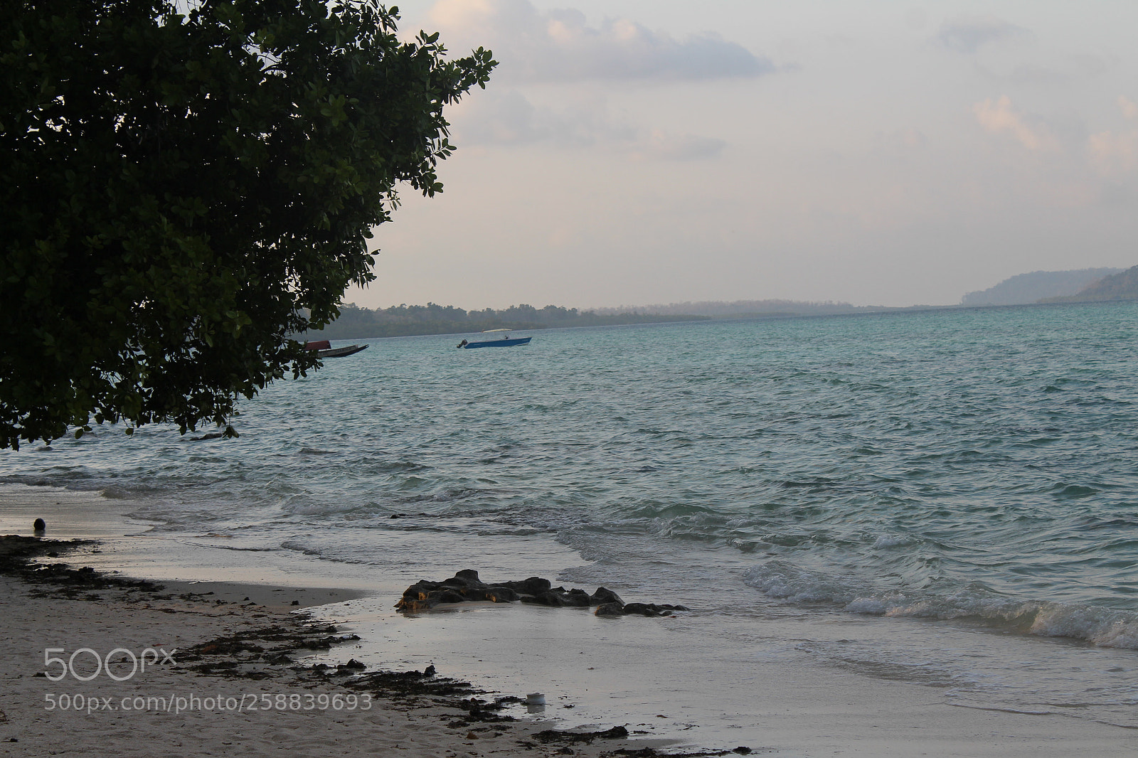 Canon EOS 700D (EOS Rebel T5i / EOS Kiss X7i) sample photo. The eve is blue photography