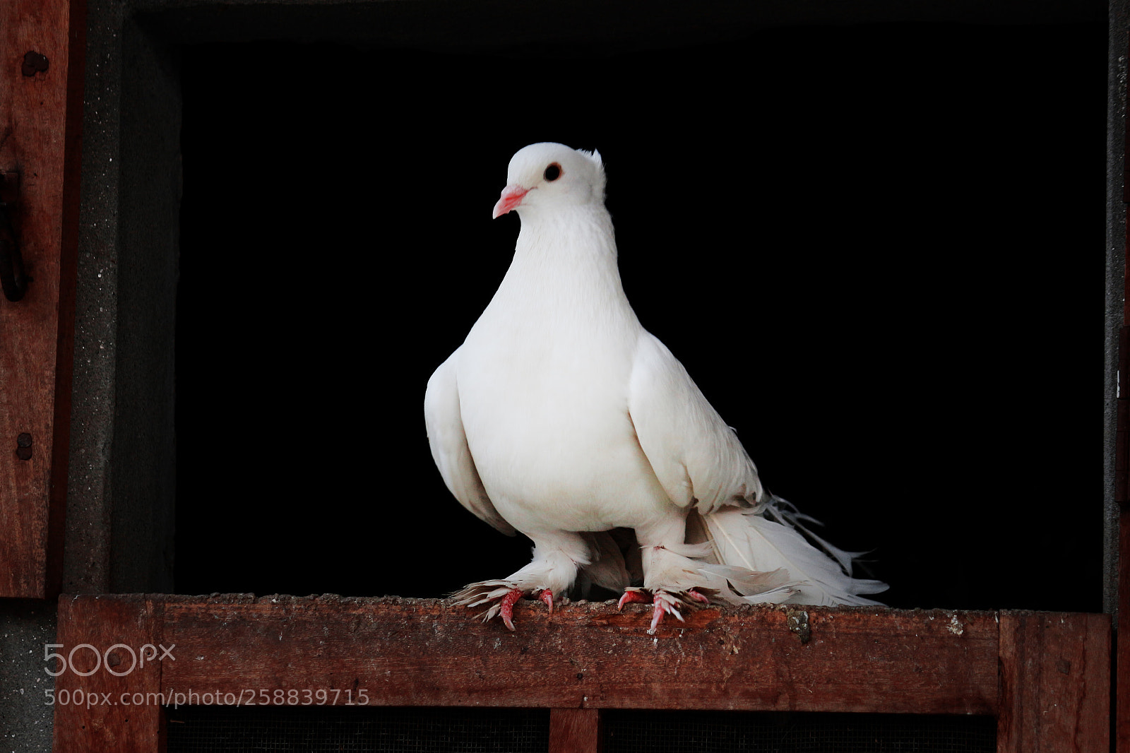 Canon EOS 700D (EOS Rebel T5i / EOS Kiss X7i) sample photo. Untitled photography