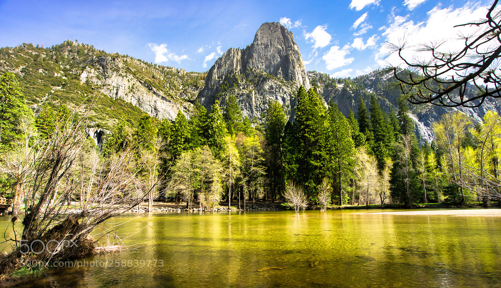 Sony a7R sample photo. Road trip usa 2017 photography