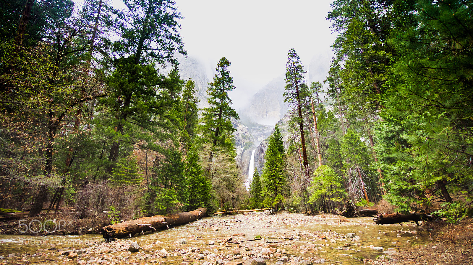 Sony a7R sample photo. Road trip usa 2017 photography