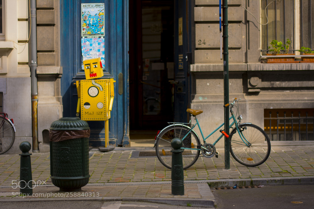 Nikon D5200 sample photo. Rue royalespringbruxelles photography