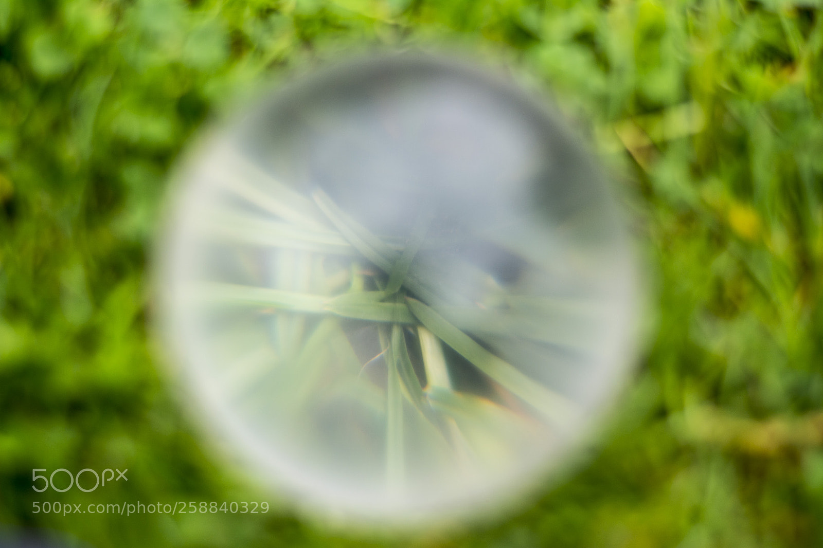 Nikon D5200 sample photo. Boulle de cristalespringtout feu photography