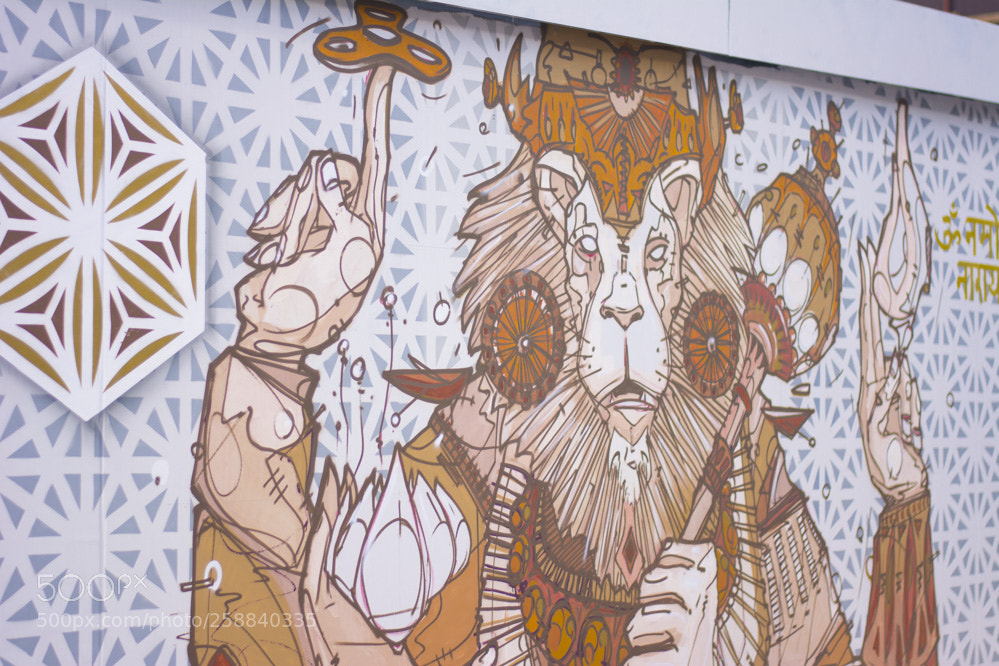 Nikon D5200 sample photo. Bozartwinterfoire du midi photography