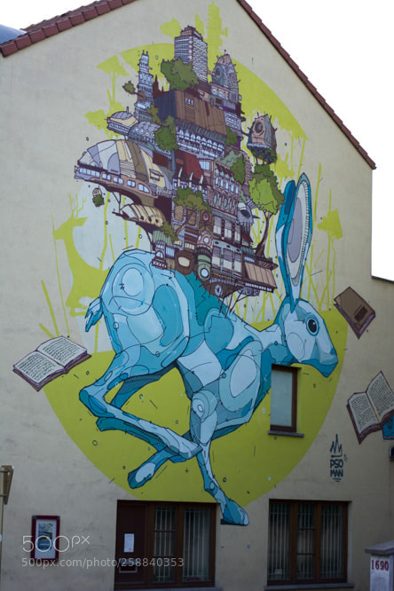 Nikon D5200 sample photo. Dans la villespringauderghem photography