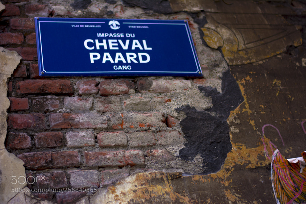 Nikon D5200 sample photo. Dans la villespringbruxelles photography